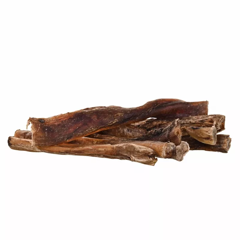 Dog Chew Treats PETITTO Beef Penis, pack of 10 — beef chew treats for dental care