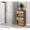 Chest of drawers Top e Shop W5 ANT/ART, 5 drawers, Anthracite/Oak, particle board