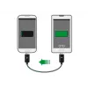 USB cable DeLOCK 83570 USB 2.0 0.3 m USB B Black