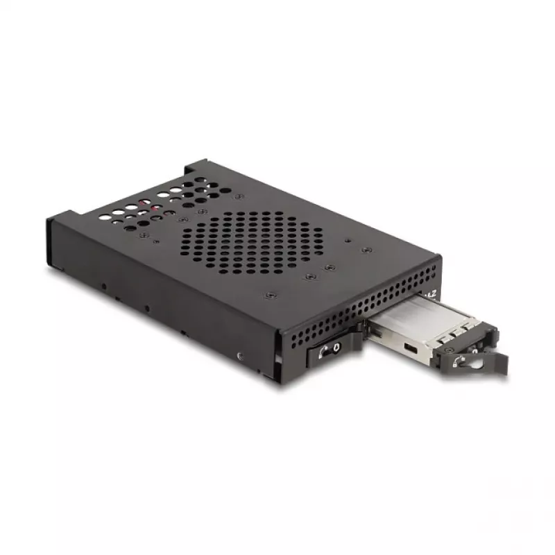 SSD enclosure DeLOCK 47117 3.5 inch Mobile Rack for 2 x M.2 NVMe SSD