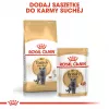 Royal Canin British Shorthair Adult Dry Cat Food 10 kg