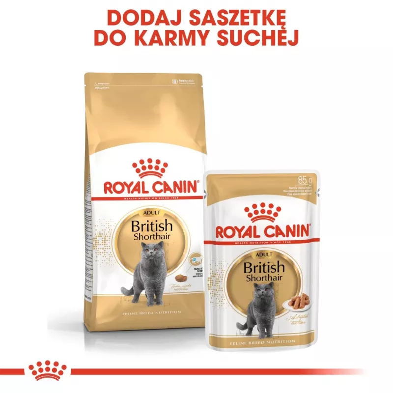 Royal Canin British Shorthair Adult Dry Cat Food 10 kg