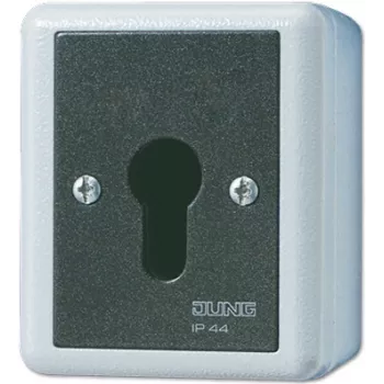 Key-operated switch JUNG 806.28 G — 2P, wired, 250 V AC, 16 A, black/white
