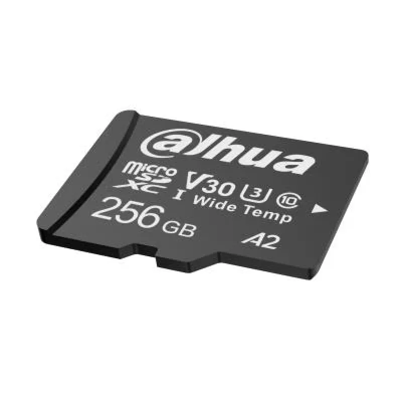 256GB Memory Card DAHUA TF-W100-256GB