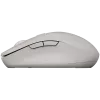 CANYON mouse MW-12 Dual band Wireless grey