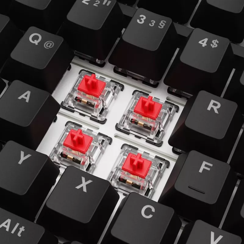 Sharkoon SGK25 Keyboard Home USB QWERTZ German Black 75% RGB LED