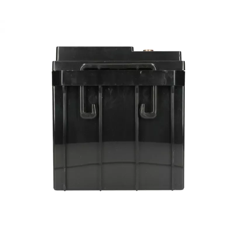 Sealed Lead Acid Battery Extralink Accumulator AGM 12V 65Ah, VRLA, black, 1 pc