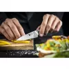 Zwilling TANREI 10 cm Larding and garnishing knife