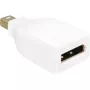 DisplayPort Mini M/FM DeLOCK DP Mini M DP FM White