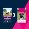 Dry dog food EUKANUBA Puppy Large Chicken 15 kg — puppy formula for large and giant breeds, 26.5% protein