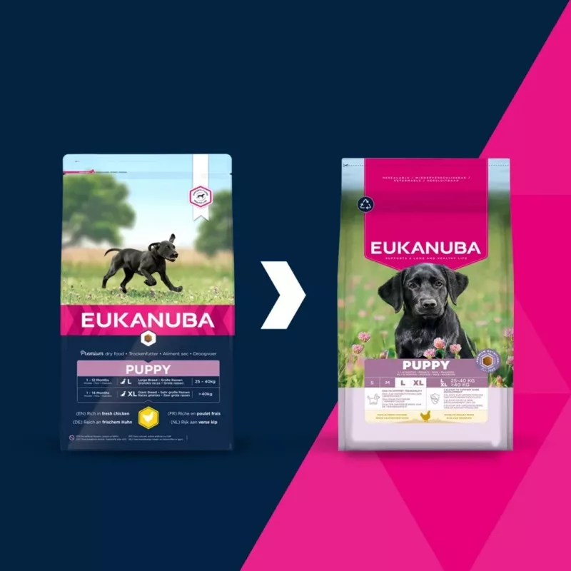 Dry dog food EUKANUBA Puppy Large Chicken 15 kg — puppy formula for large and giant breeds, 26.5% protein