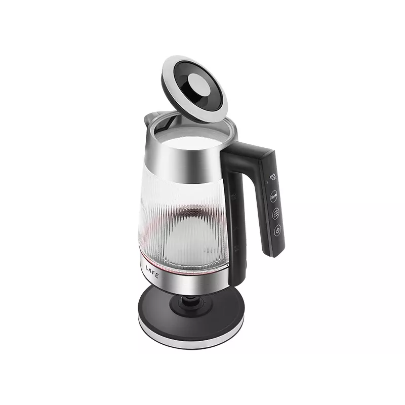 Electric kettle with temperature control CEG005
