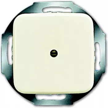 BUSCH-JAEGER Zentralscheibe Leitungsauslass 2527-212 Duro 2000 SI weiss 2527-212 (1710-0-0623)