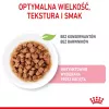 Wet cat food Royal Canin Sterilised Gravy, 12 x 85 g pouches — chicken, for spayed/neutered kittens, 11% protein, 80.5% moisture