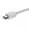Video cable adapter SAVIO Mini DisplayPort (male) to HDMI Type A (female) 0.2 m, white