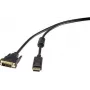 Renkforce RF-3301142 Video Cable-Adapter 1 m DisplayPort DVI-D Black (RF-3301142)
