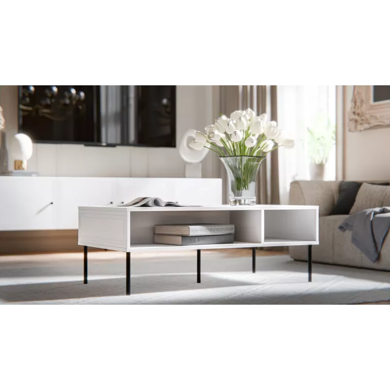 PALAZZO BIS table/latrine 110x60x40 white matte