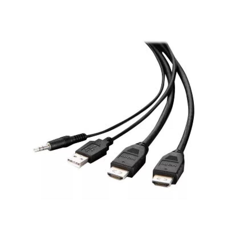 Belkin Secure KVM Combo Cable - Video- / USB- / Audio-Cable - TAA-Compliant - USB, Mini-Plug, HDMI (M)