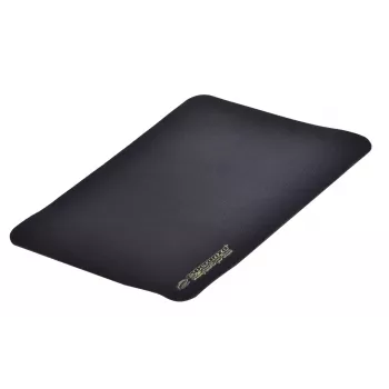 Mouse pad ESPERANZA EGP101K — gaming mouse pad, 250×200×2 mm, plastic, black