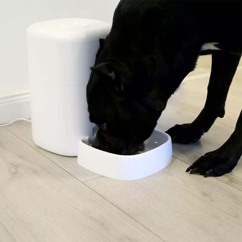 Automatic Pet Feeder Tellur TLL331461 with UltraHD Camera, 4 L, White
