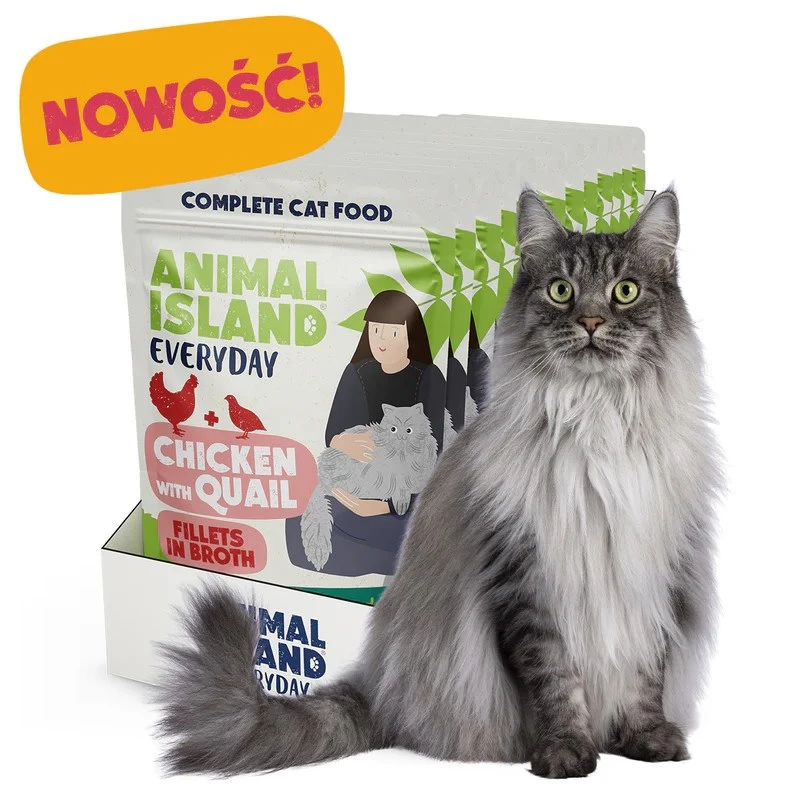 ANIMAL ISLAND Chicken with quail Fillets in broth - wet cat food - 12x85g