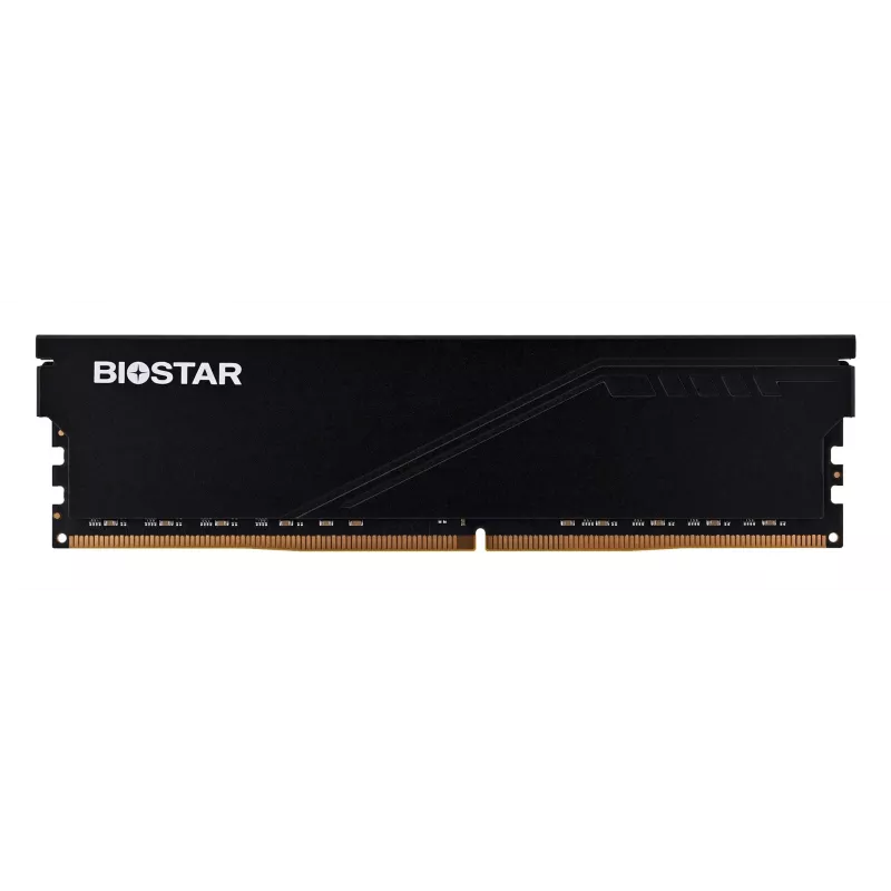 Desktop DDR4 RAM BIOSTAR 16GB 3200MHz with Heatsink (model DO32NU4H16)