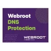 Webroot | DNS Protection with GSM Console | 1 year(s) | License quantity 10-99 user(s)