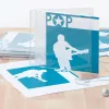 CD inlay card HERMA 121x242 mm