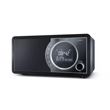 Sharp DR-450 Digital Radio - Black, Personal, Digital, DAB, DAB+, FM, 87.5 - 108 MHz, 174.928 - 239.2 MHz, 3 W