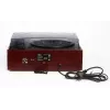 Camry Premium CR1113 Belt-Drive Turntable with Radio, Black
