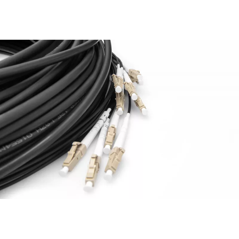 Breakout Cable Digitus DK-2433CU030BK-BBB 30m OM4 12 Fibers LC/UPC