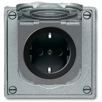 BUSCH JAEGER BJ 20 EFDB2 Socket Outlet with Increased Touch Protection and Hinged Cover Flush-Mount Device Grey