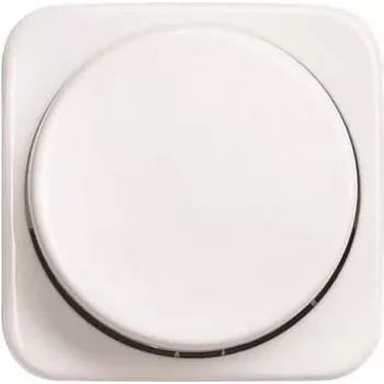 Busch-Jaeger Zentralscheibe alpinweiß f.UP-Drehdimmer 2115/11-214-500 (2CKA006599A3034)