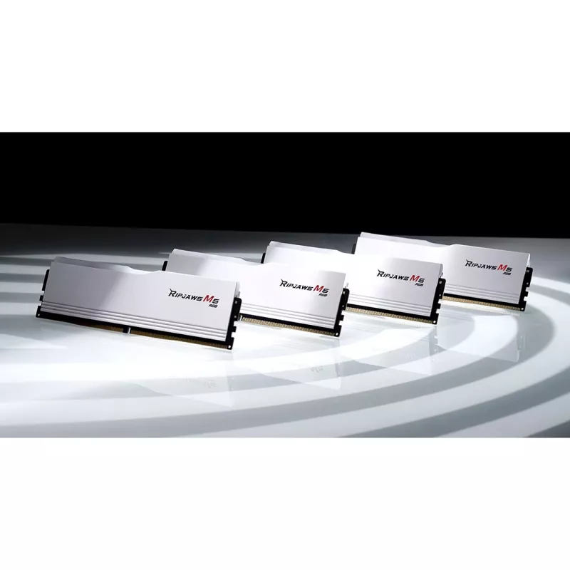 DIMM 32 GB DDR5-6000 (2x 16 GB) Dual-Kit, Arbeitsspeicher weiß, F5-6000J3636F16GX2-RM5RW, Ripjaws M5, INTEL XMP