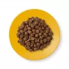 Dry cat food Applaws Senior Chicken — grain-free / gluten-free 2 kg bag, 36.5% protein, for senior cats