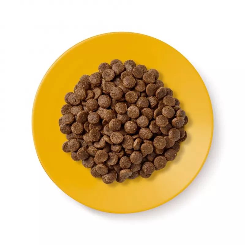 Dry cat food Applaws Senior Chicken — grain-free / gluten-free 2 kg bag, 36.5% protein, for senior cats