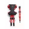 Dog Harness ZOLUX TRAVEL SAFE M, size M, red