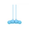 Apple BEATS FLEX - ALL-DAY WIRELESS Beats Flex, All-Day Wireless Earphones, Flame Blue (MYMG2ZM/A)
