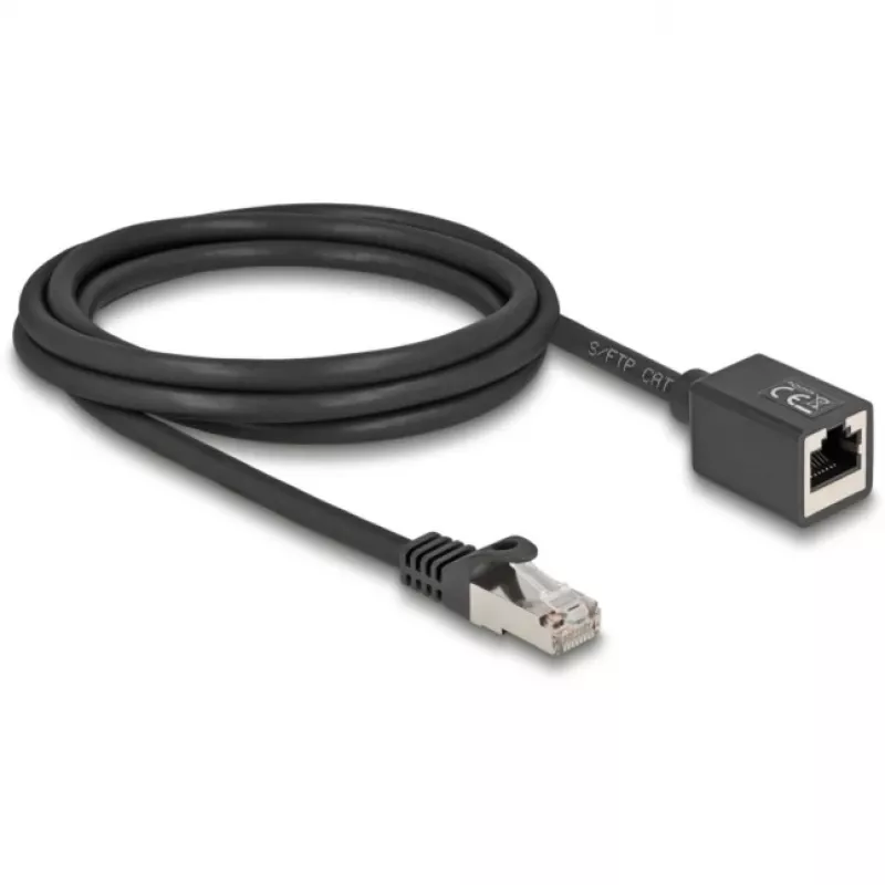 Networking cable DeLOCK 90309 RJ-45 Cat6a 2 m Black