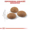 Royal Canin Outdoor dry cat food 2 kg