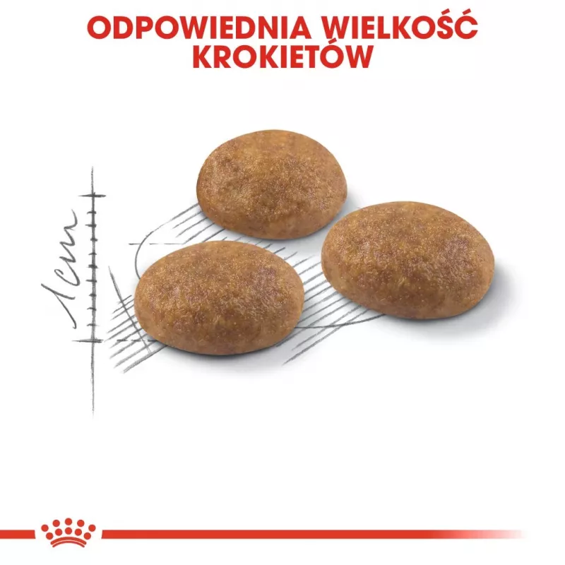 Royal Canin Outdoor dry cat food 2 kg