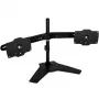 SilverStone SST-ARM23BS-L - Dual Monitor Arm - black