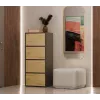 ALMA CHEST OF DRAWERS, ANTHRACITE/ARTISAN OAK