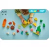 LEGO DUPLO 10452 Camping Trip