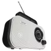 DENVER TR-51WHITE private radio Black white