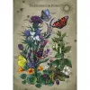 Jigsaw puzzle Ravensburger Circle of Life Butterfly 1000 pieces