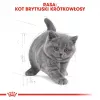 Dry Cat Food Royal Canin British Shorthair Kitten 2 kg – chicken, 38% protein, 20% fat, growth formula