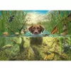 Mark Fredrickson: dog love - brown Labrador in cool water, Puzzle 1000 Pieces