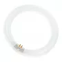 Osram Circular Fluorescent Lamp L 40W/840 C G10Q Neutralwhite T9