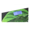 Bathroom scales Mesko MS 8149 Maximum weight 150 kg Accuracy 100 g Black green